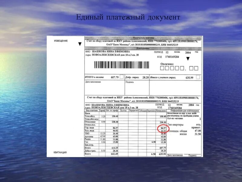 Платежные документы подтверждающие оплату. Единый алатежныйдокумент. Платежный документ. Единый платежный документ. Единый платежный документ (ЕПД).