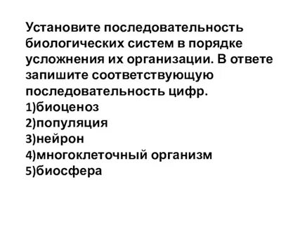 Порядок биологических систем