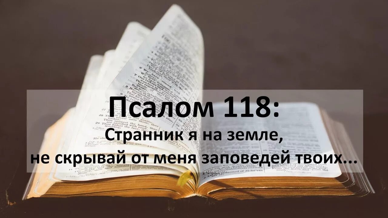 Псалтирь 118