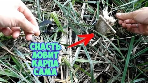 Видео силке