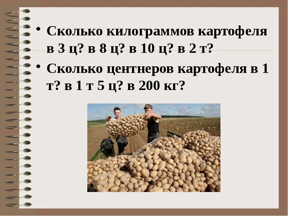Килограмм картофеля это сколько. Килограмм картошки это сколько. Кг картошки это сколько штук. Картофель 3 кг.