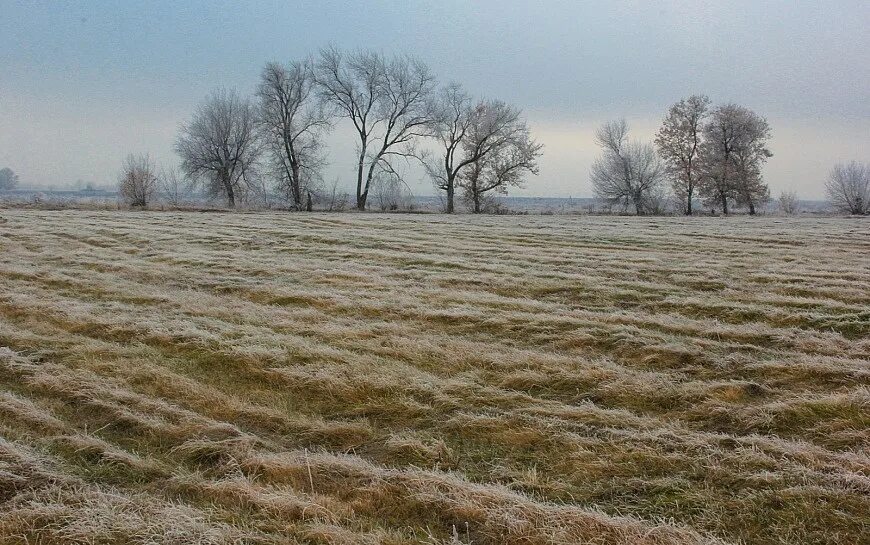 ветер в поле. ковыльные степи россии. к. пашня оренбургской области зима. ветер веет в пустынных полях.