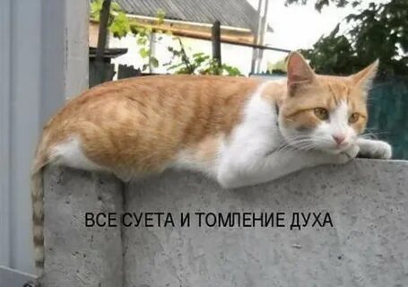 Томление и зной усиливались