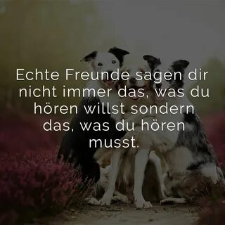 Ich sagen