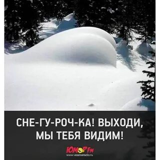 Забытые снега