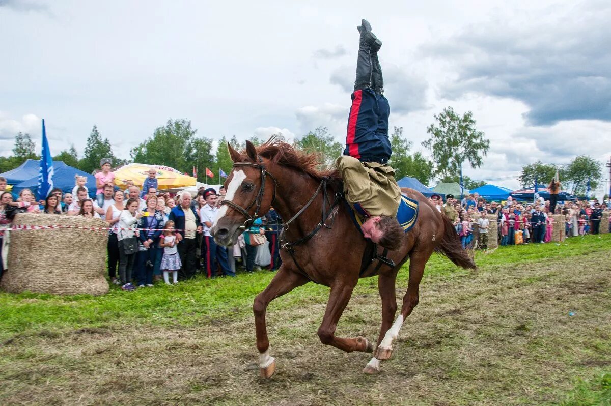 Джигитовка казаков. Джигитовка донских Казаков. Джигитовка кубанских Казаков. Донские казаки джигитовка. Донской казак джигитовка.