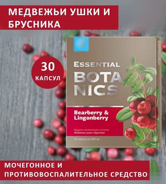 Медвежьи ушки и брусника - Essential Botanics. Медвежьи ушки и брусника Сибирское здоровье. Медвежьи ушки Сибирское и брусника Сибирское здоровье. Siberian Wellness Медвежьи ушки и брусника. Медвежьи ушки и брусника essential botanics отзывы