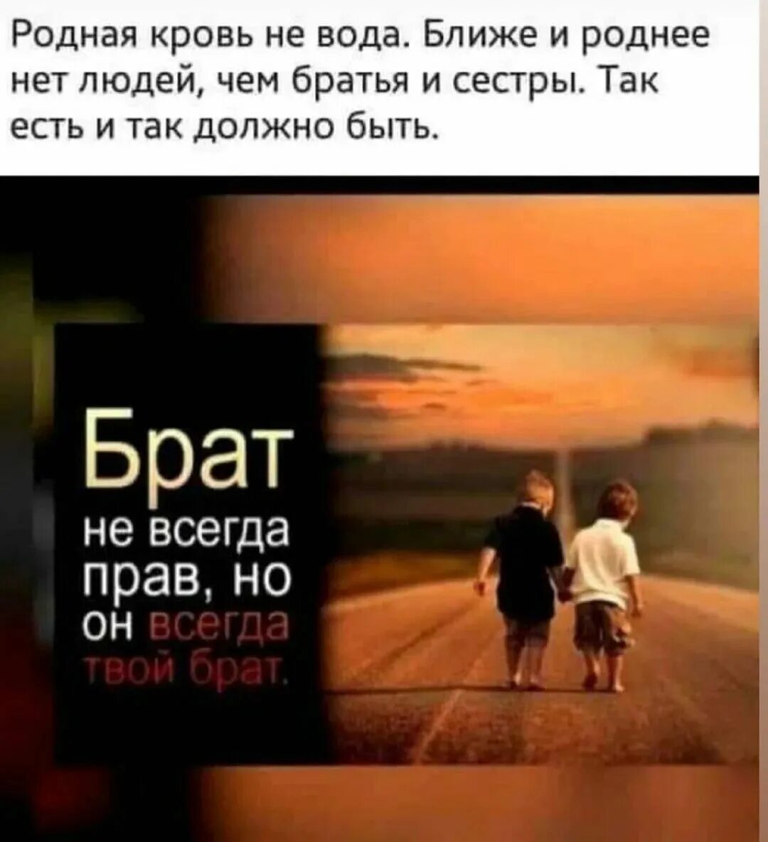 Брат не всегда прав но он. Брат всегда брат. Твой брат не всегда прав но он всегда. Мой брат не всегда прав.