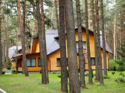 Белоруссия санатории сосны минская область