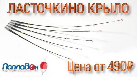 Кивок ласточкино крыло