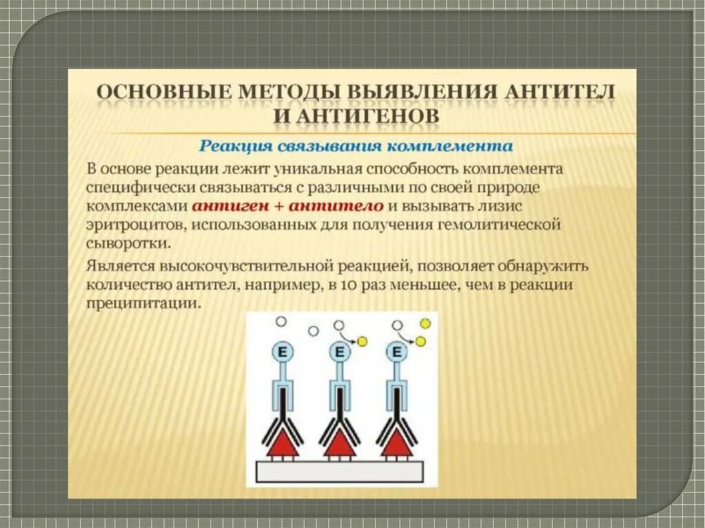 Метод антиген антитело