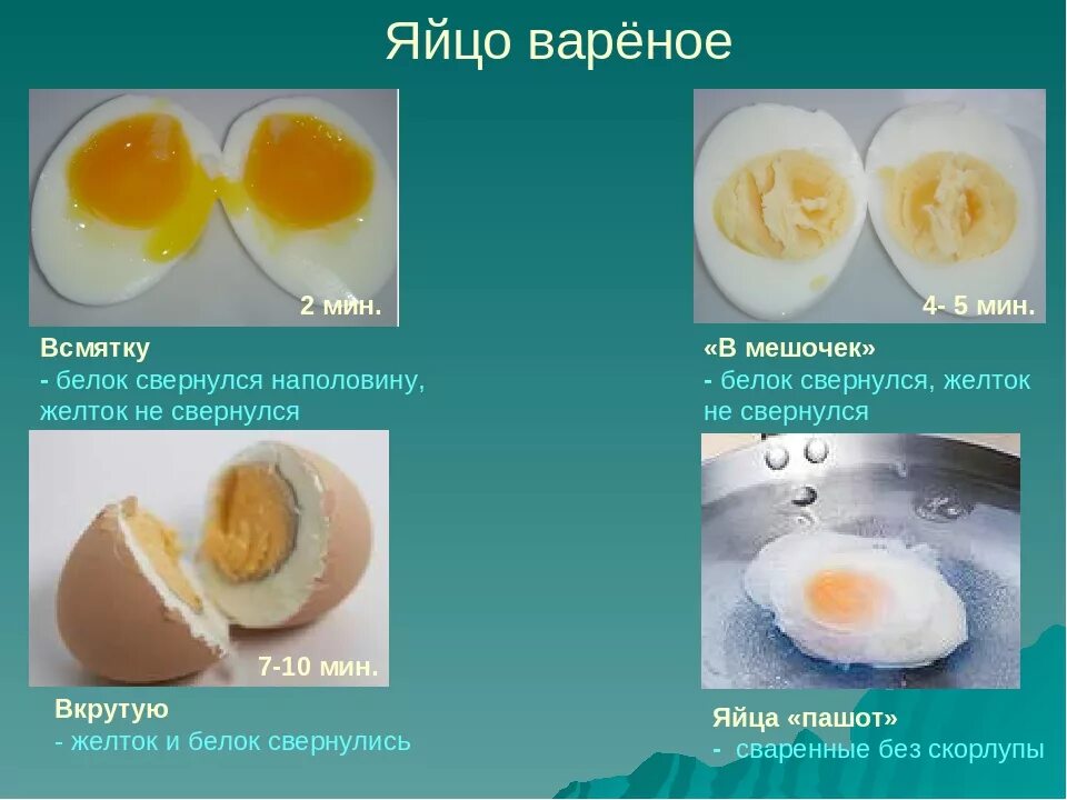 Виды вареных яиц. Вареное яйцо в разрезе. Яйцо всмятку без скорлупы. Желток яйца калорийность. Когда можно белок яйца ребенку