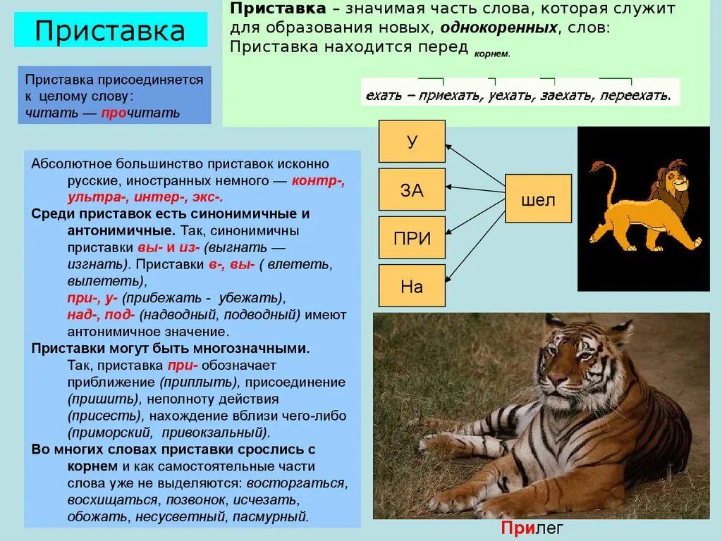 Слова с корнем тигр. Приставка значимая часть слова сочинение. Образовать слова с корнем тигр. Слово с корнем тигр с приставкой.