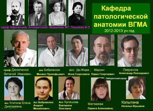 Преподаватели кафедры анатомии. Кафедра анатомии ВГМУ Бурденко сотрудники. Кафедра патологической анатомии БГМУ заведующий. Кафедра патанатомии ВГМУ. ВГМУ Кафедра анатомии преподаватели.