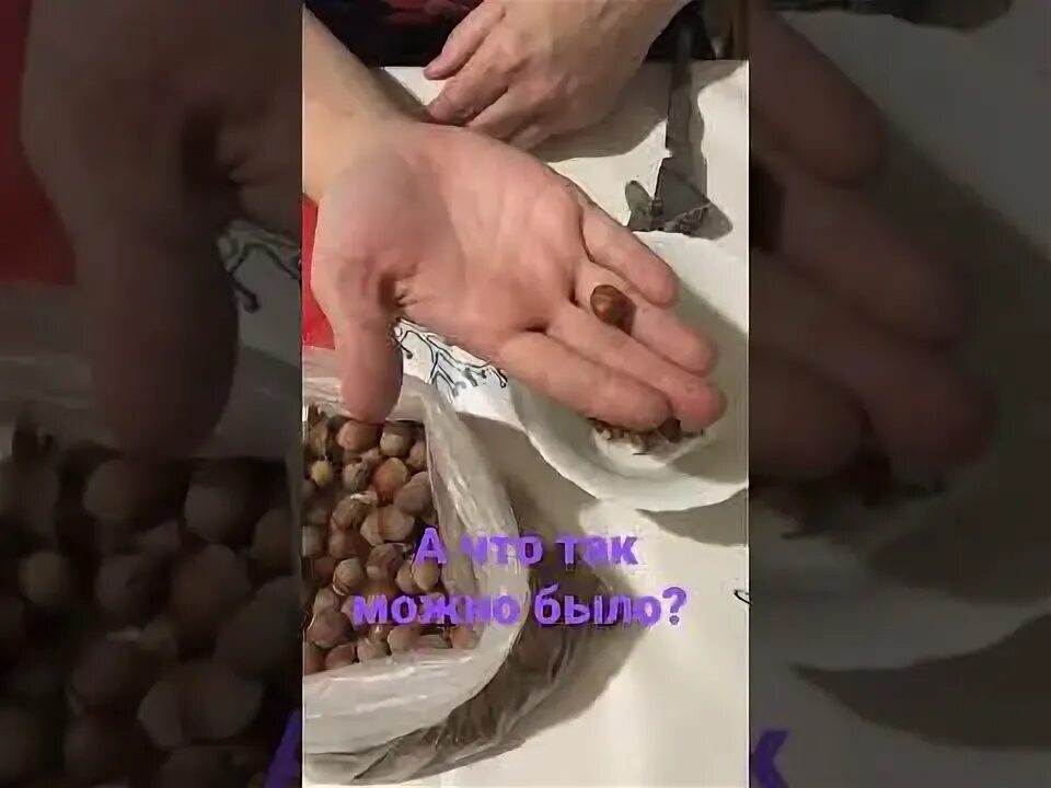 Как быстро расколоть. Как расколоть фундук. как колоть лесные орехи.
