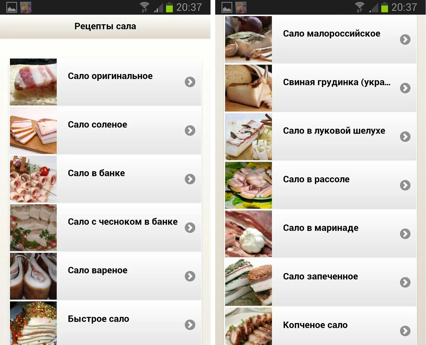 Программа салом
