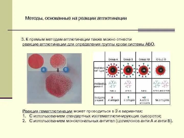 Реакция агглютинации происходит. Реакция агглютинации для определения группы крови. резус-фактор крови агглютинация. таблица группы крови по агглютинации. как определить 1 группу крови.