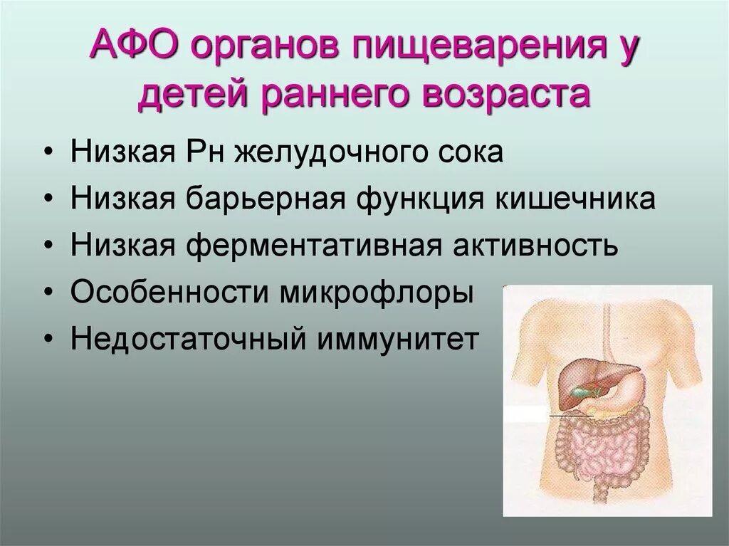 Афо пищеварительной системы у детей раннего возраста. Анатомо-функциональная характеристика пищеварит. Афо органов пищеварения. Анатомо-физиологические особенности органов пищеварения у детей. Пищеварительная система характеристика кратко