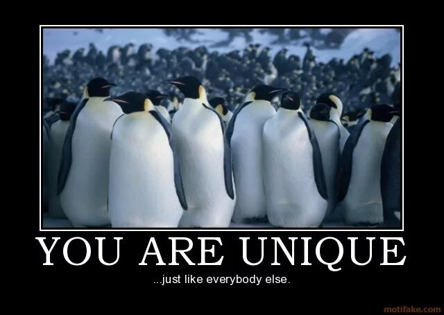 Everyone is unique. Just because you are unique doesn't mean you are useful. You re unique. Because you are unique. Just unique