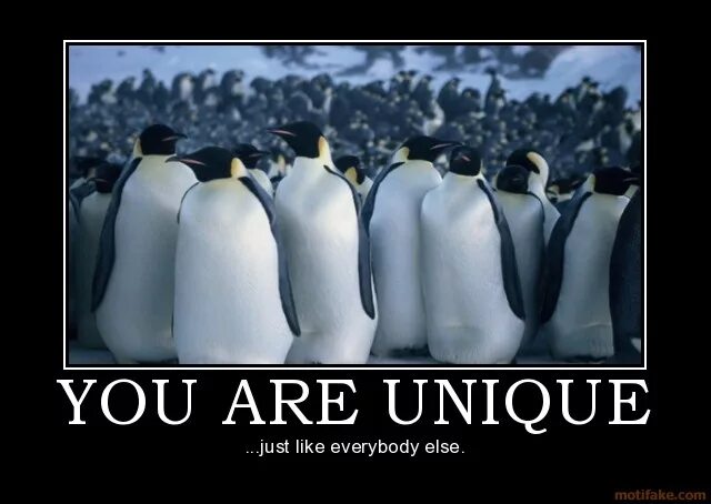 Everyone is like you. Just because you are unique doesn&#039;t mean you are useful. you re unique. because you are unique. demotivation singular.