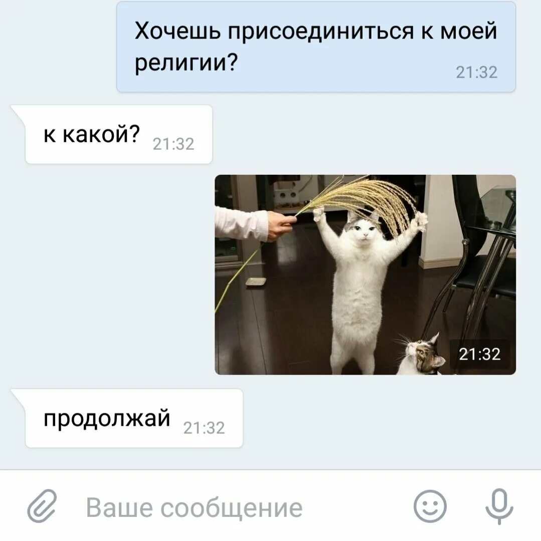 Желает присоединиться. Хочешь присоединиться к моей религии. я заинтересован. не хотите присоединиться к моей религии.