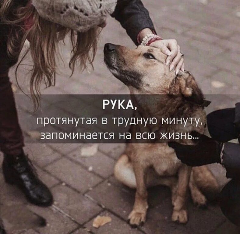 Пропустить поддержать