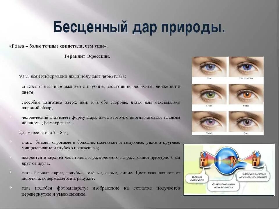 Какие особенности нашего зрения
