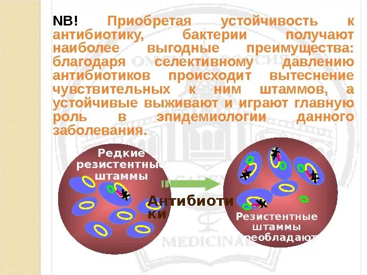 Бактерии устойчивые к антибиотикам. Резистентность бактерий к антибиотикам. Устойчивость к антибиотикам. Устойчивость микроорганизмов.