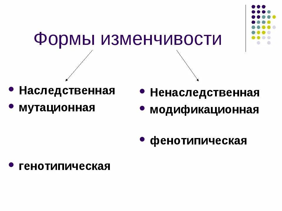 Наследственная изменчивость виды наследственной изменчивости. Типы наследственной изменчивости 9 класс биология. Виды изменчивости биология презентация. Типы ненаследственной изменчивости. Виды изменчивости биология презентация.