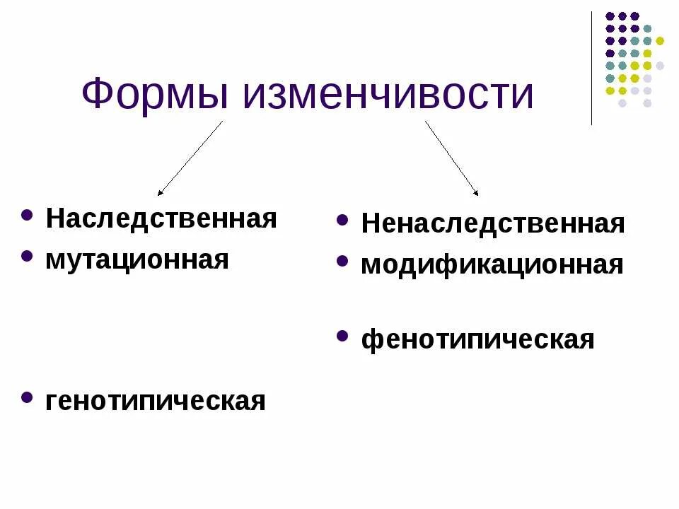 Закономерности изменчивости мутационная изменчивость. Закономерности изменчивости наследственная и ненаследственная. Закономерности изменчивости генотипическая изменчивость. Закономерности наследственной изменчивости. Закономерность наследственной изменчивости