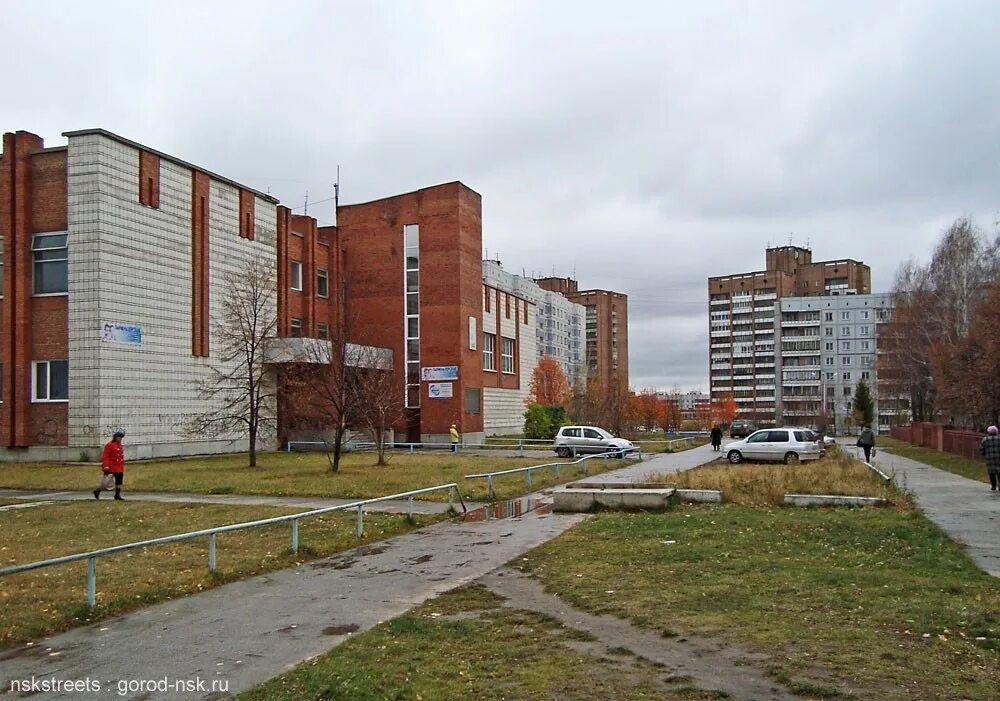 Бассейн Афалина в Новосибирске. Бассейн на Курчатова Новосибирск Афалина. Новосибирск, ул. Курчатова, 7/3. Курчатова 13 Новосибирск. Школа 151 новосибирск