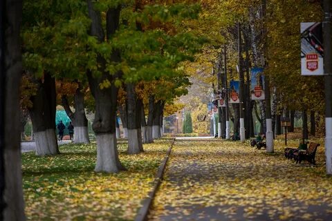 Фото 4 октября