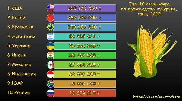 Кукуруза страны Лидеры. Страны по выращиванию кукурузы. Топ 10 стран по производству кукурузы. Лидеры по производству кукурузы в мире. Крупнейшие производители кукурузы