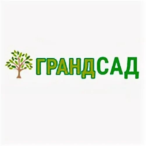 Яблоня крупномер "Брусничное" 8 лет купить в Раменском Товары для дома и дачи Ав