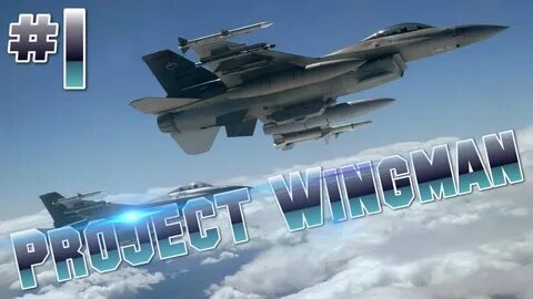 Project wingman