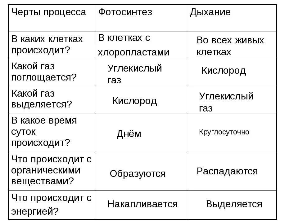 Выпишите из текста параграфа термины характеризующие