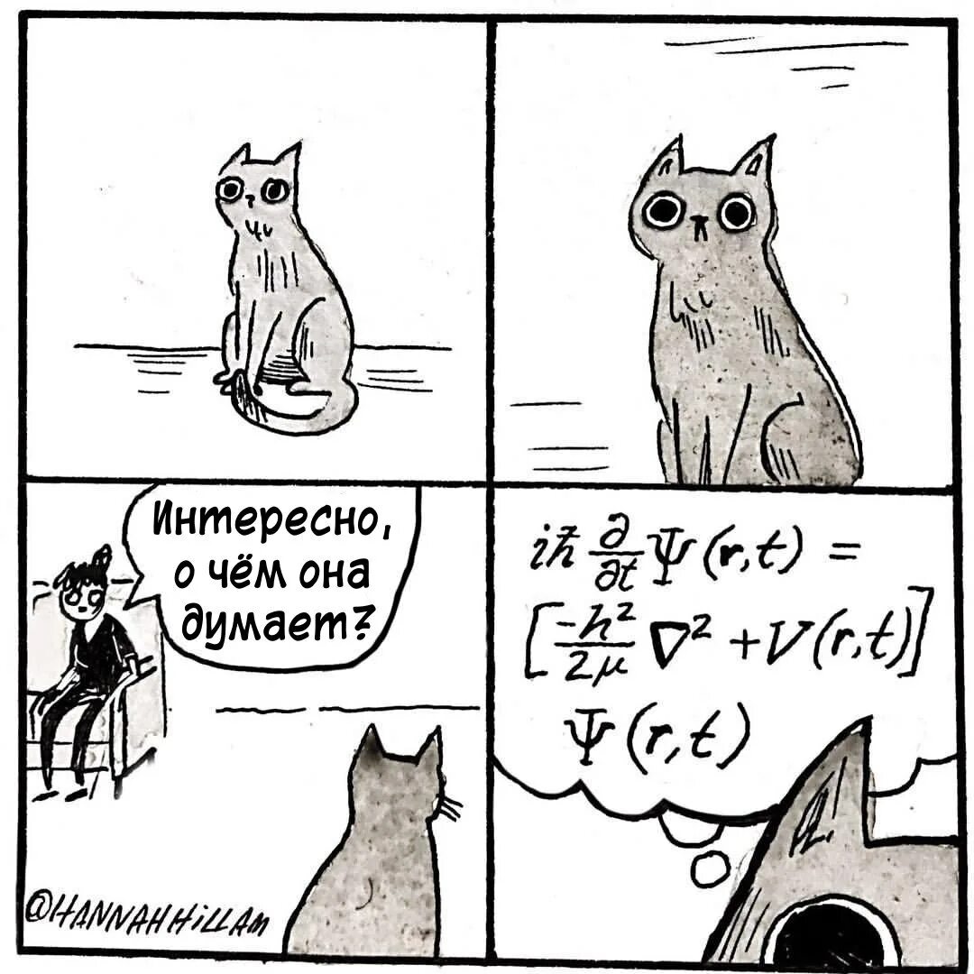 Умные мысли кота. Кот думает. Смешные мысли кота. Думаю о коте. Думаю о коте.