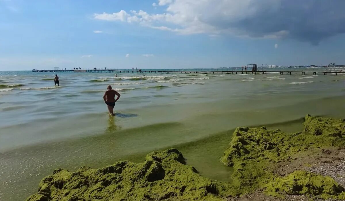 Цветет ли анапа. Джемете море цветет. Анапа Витязево море цветет 2021. Пляжи Анапы 2022. Анапа море 2022.