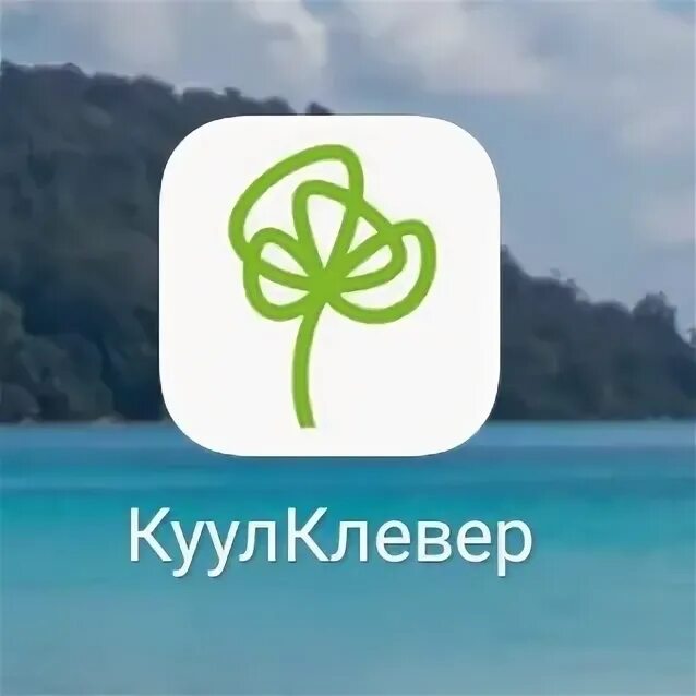 Кулл клевер. Куулклевер. куулклевер сеть. куулклевер логотип магазина. карта куулклевер.