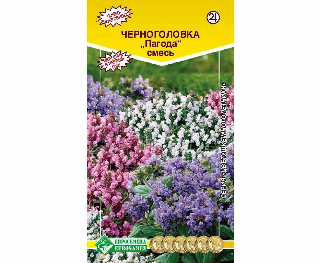 Цветы черноголовка морской бриз. Прунелла морской бриз. Цветы черноголовка морской бриз. Черноголовка растение морской бриз. Цветы черноголовка морской бриз.