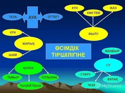 Ауылда жүз түрлі жұмыс бар 6 сынып