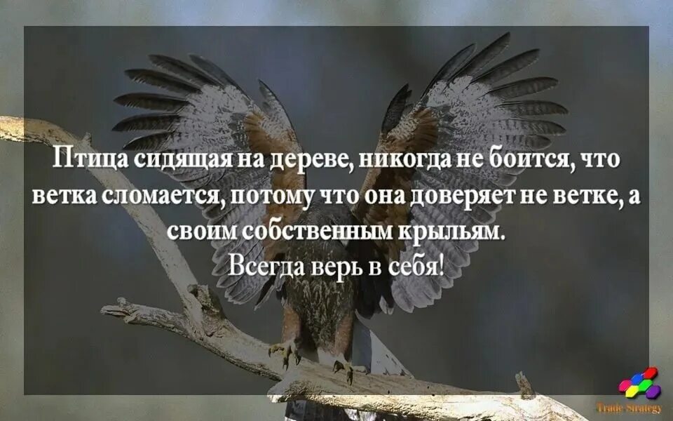 Я тебя ревную стихи. Ненавижу потому что. Потому что боялся. Никогда не ври. Виски юмор.