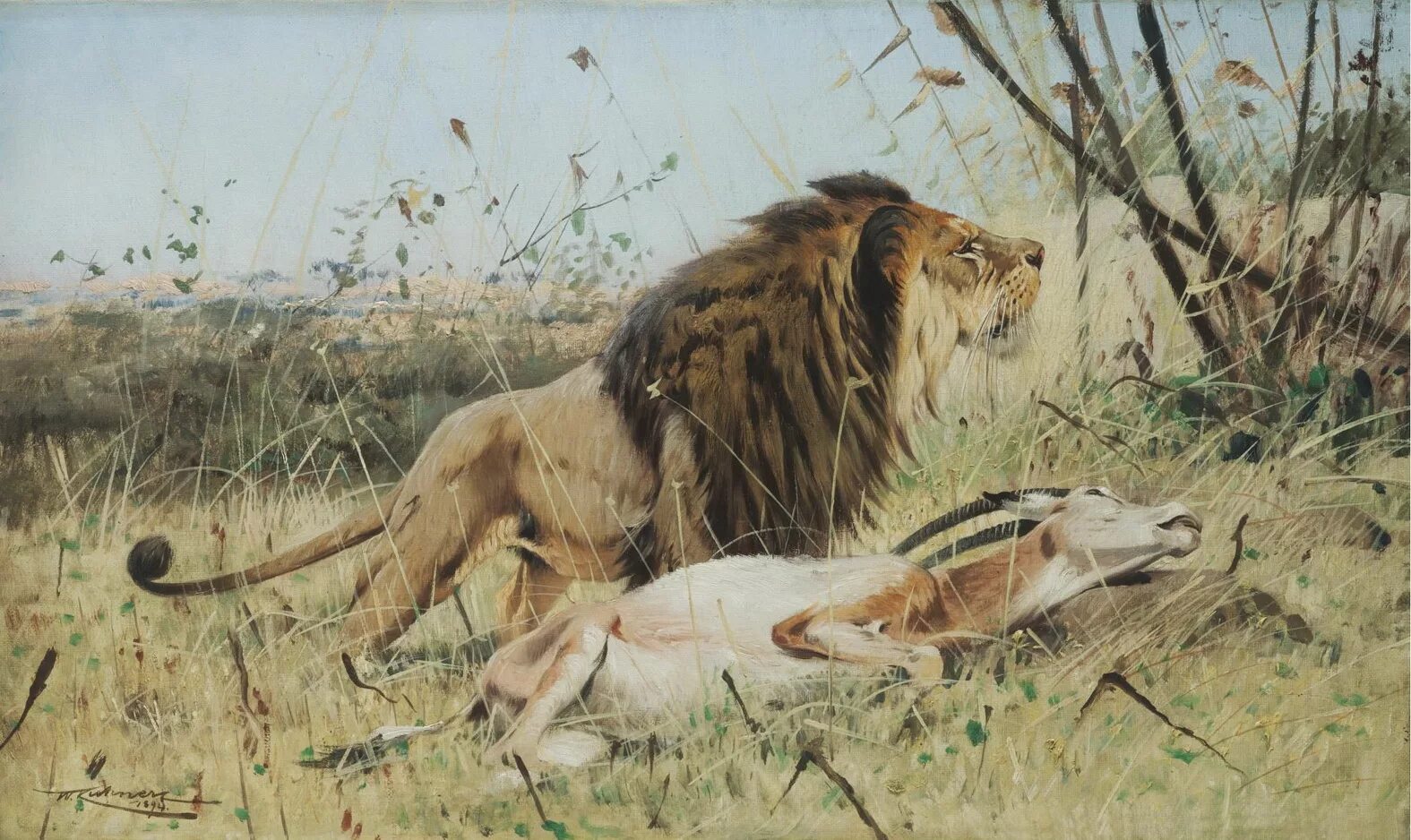 Художник изображающий животных 9. Вильгельм кунерт (1865-1926) - львы.. вильгельм кунерт картины лев. художник - анималист friedrich wilhelm kuhnert. wilhelm kuhnert леопард.