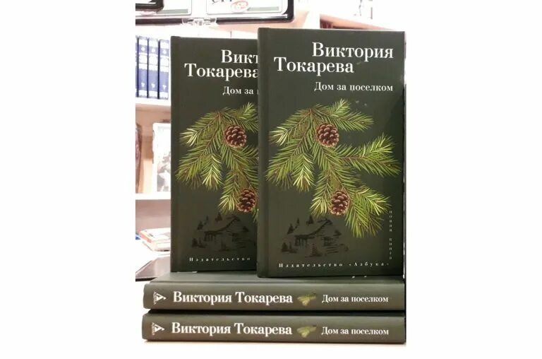 Токарева последние произведения. Токарева в. "дом за поселком". Дом Виктории Токаревой.