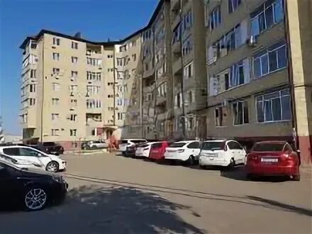 Пашковка карасунская