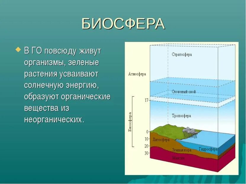 Биосфера оболочка земли где существует жизнь. Оболочки биосферы. Атмосфера литосфера гидросфера Биосфера Тропосфера стратосфера. Географическая оболочка. Биосфера географическая оболочка.