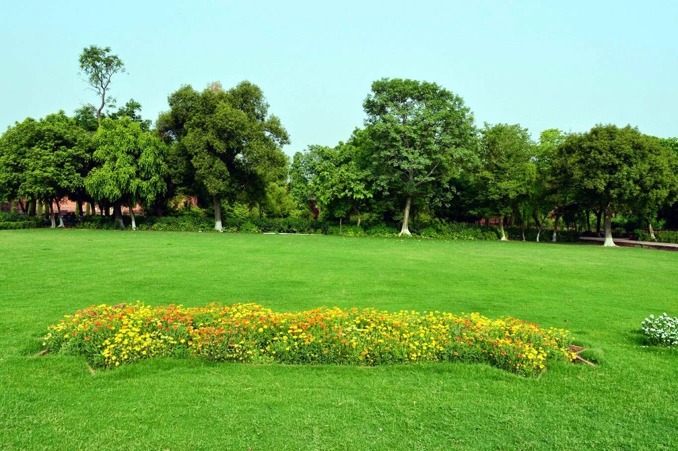 Background park