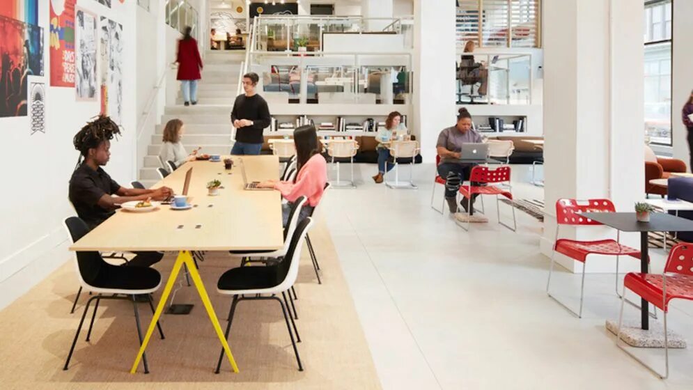 Ньюман wework. Ребекка ньюман wework. организация we. гамбург wework axel.