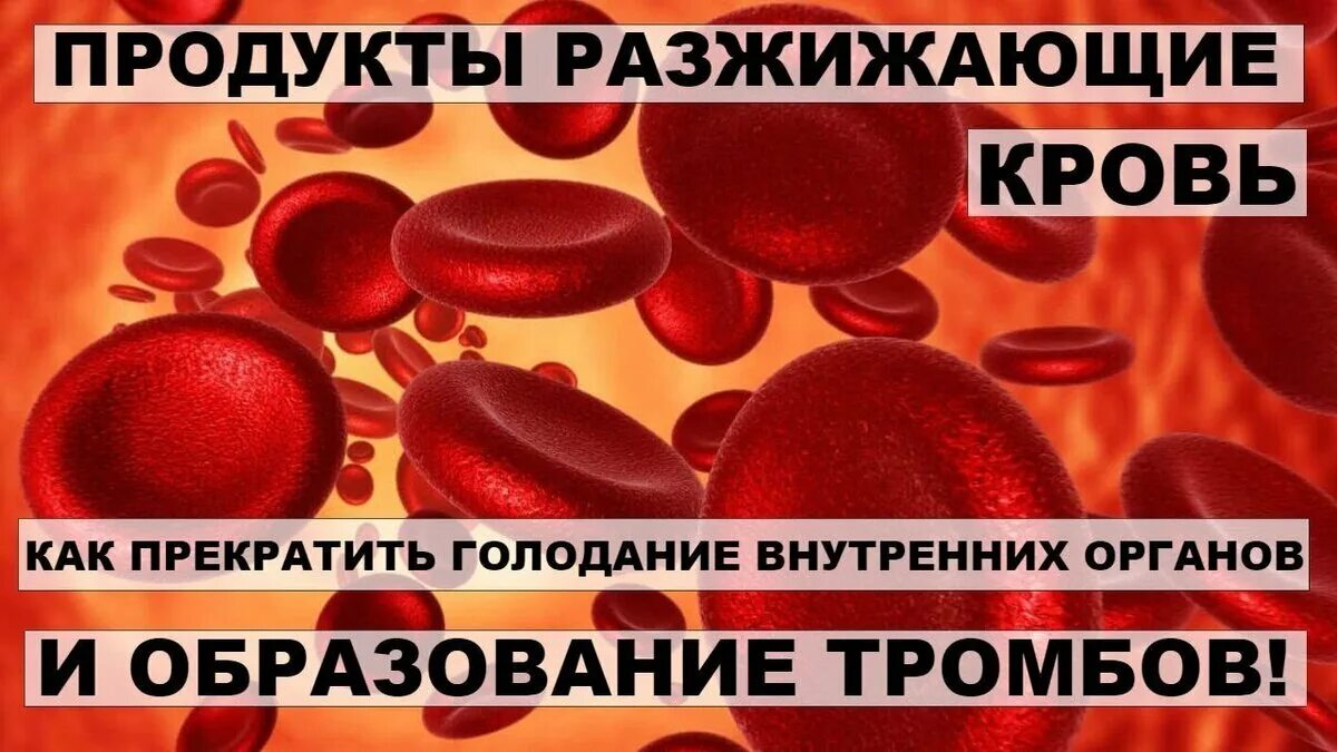 Продукты препятствующие образованию тромбов в сосудах. Продукты разжижающие кровь. Густая кровь разжижение,,,,,. Профилактика тромбообразования. БАДЫ разжижающие кровь.