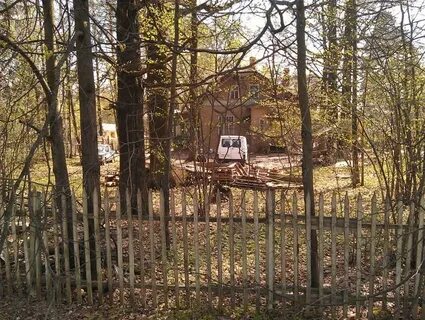 Дубки московская область
